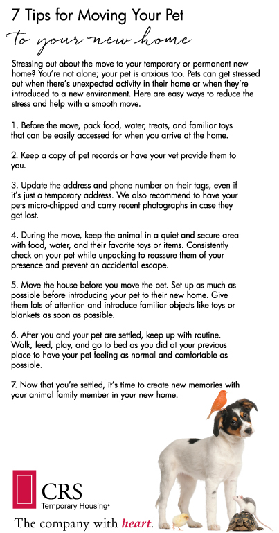 Moving-Pets-Tips